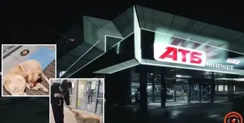 У Дніпрі в ‘АТБ’ жінка облаштувала лежанку для безхатька-песика: реакція магазину