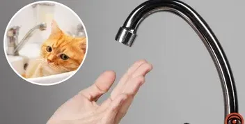 Водоснабження у Дніпрі: перерахунок адрес без води
