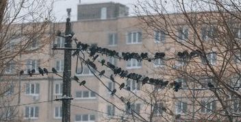 У Дніпрі 11 січня: Сильний сніг та заморозки