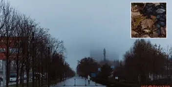 Дніпро: Похмурий День та Дощ