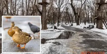 Прогноз погоди на Дніпропетровщину на 21 лютого