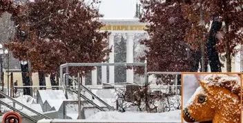 Погода в Дніпрі 26 лютого: прогноз на день