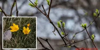 Прогноз погоди на 12 березня у Дніпрі