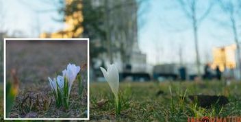 Прогноз погоди на 13 березня в Дніпрі