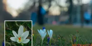 Прогноз погоди на 16 березня у Дніпрі
