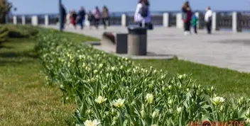 Якою буде погода у Дніпрі 28 квітня