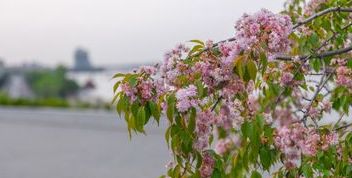 Прогноз погоди у Дніпрі на 3 квітня: можливі дощі