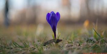 Прогноз погоди на 3 квітня в Дніпрі