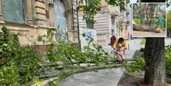 Сильний вітер у Дніпрі: у місті фіксують падіння гілок і небезпечні ділянки