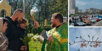 Теплі новини весни: відновлення, цвітіння та святкові події