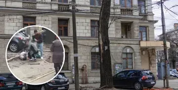 Небезпечні дерева: випадок у Дніпрі