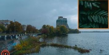У Дніпрі та області прогнозують грозу з градом 20 травня