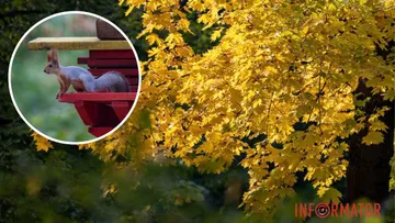 Прогноз погоди у Дніпрі на 2 жовтня: ясний день без опадів